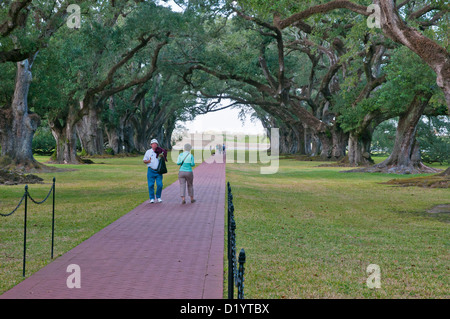 Touristen in Oak Alley Plantation, Mississippi River, Gemeinde Vacherie, Louisiana, USA, Nordamerika Stockfoto