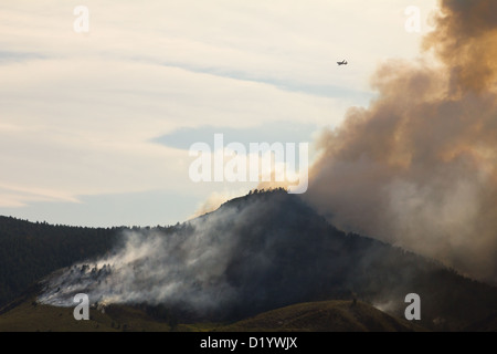 Flugzeug-Feuerwehrleute kämpfen ein Lauffeuer in Colorado Stockfoto