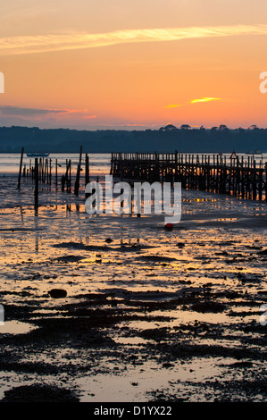 Poole Hafen Sonnenuntergang Stockfoto