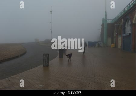 Mensch und Hund zu Fuß entlang leer Brighton Seafront in dichtem Nebel Stockfoto