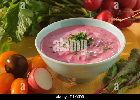 Chłodnik - kalte rote Bete Suppe in eine Schüssel auf einem Holztisch mit Gemüse. Saisonales Gericht. Stockfoto