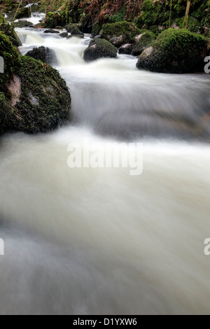 Kennall Vale Naturschutzgebiet kaskadierende Wasserstrom Stockfoto