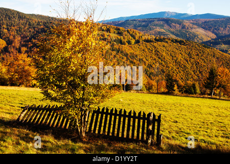 Beskiden im Herbst, Polen Stockfoto
