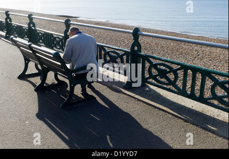 Mann liest auf Meer Bank, morgen Schatten Stockfoto