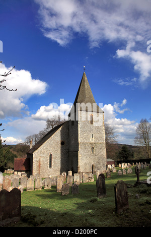 Frühling Blumen auf dem Kirchhof von St. Johns Kirche, Findon Dorf, Sussex, England, UK, Stockfoto