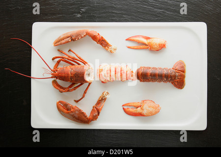 Hummer auf einem weißen Teller, Meeresfrüchte, Lebensmittel Stockfoto