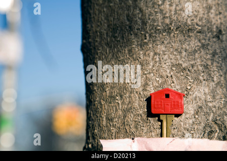 Verlorene Hausschlüssel mit Klebeband an Baum Stockfoto