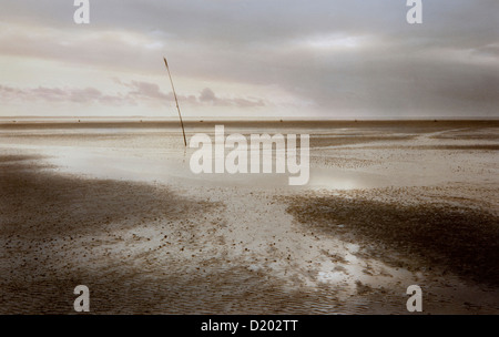 Wattenmeer bei Ebbe, Neuwerk Insel, Hamburger Nationalpark Wattenmeer, Nordsee, Hamburg, Deutschland, Europa Stockfoto