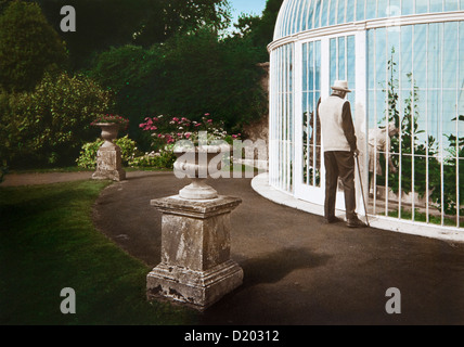 Gewächshaus im Garten eines Herrenhauses, Devon, Südengland, Großbritannien, Europa Stockfoto