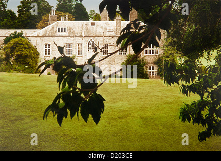 Blick auf Herrenhaus Prideaux Place, Padstow, Devon, Südengland, Großbritannien, Europa Stockfoto