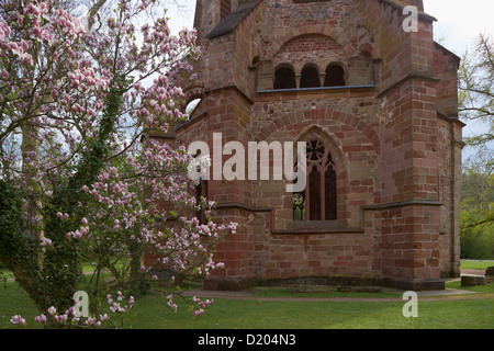 Blühende Magnolie am alten Turm im Park der alten Abtei, Adventure Centre Villeroy &amp; Amp; Amp; Boch, Mettlach, Saarlan Stockfoto