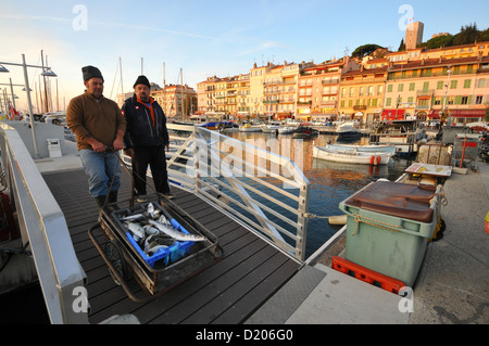 Fischer mit ihrem Fang am alten Hafen von Cannes, Côte d ' Azur, Südfrankreich, Europa Stockfoto