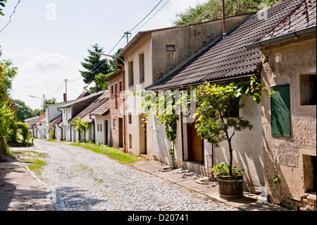 Weinregion Poysdorf, Wein-Region, Niederösterreich, Österreich Stockfoto