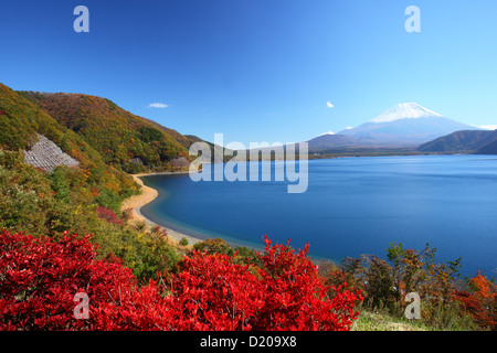 Mt. Fuji und Lake Motosu im Herbst, Yamanashi, Japan Stockfoto