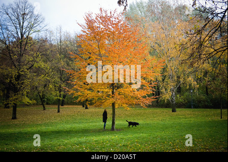 Berlin, Deutschland, Herbst im Friedrichshain park Stockfoto