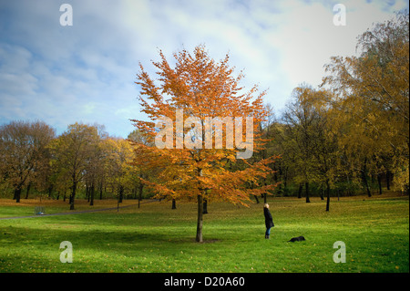 Berlin, Deutschland, Herbst im Friedrichshain park Stockfoto