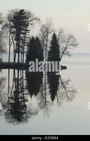 Am frühen Morgen Reflexion von Bäumen auf einem ruhigen See bei Sonnenaufgang an einem nebligen Frühlingsmorgen, Stockfoto