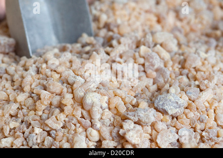 Arabische Halbinsel, Sultanat von Oman, Boswellia Sacra, Weihrauch-Harz Stockfoto