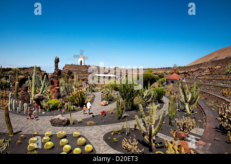 Windmühle und Kakteen, Botanischer Garten Jardin de Cactus, Architekt, Cesar Manrique, Guatiza, Lanzarote, Kanarische Inseln, Spanien, Eur Stockfoto