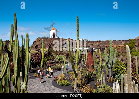 Windmühle und Kakteen, Botanischer Garten Jardin de Cactus, Architekt, Cesar Manrique, Guatiza, Lanzarote, Kanarische Inseln, Spanien, Eur Stockfoto