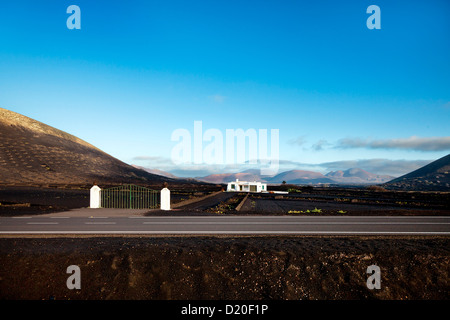 Haus in den Weinbergen auf Vulkanboden, La Geria, Lanzarote, Kanarische Inseln, Spanien, Europa Stockfoto