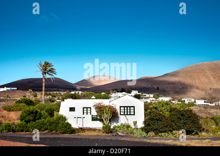Haus und Palm Tree, Uga, Lanzarote, Kanarische Inseln, Spanien, Europa Stockfoto