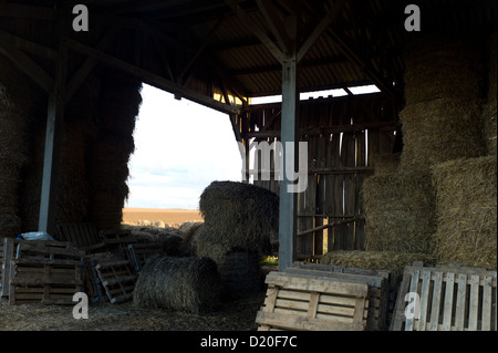 Alte hölzerne Scheune und Haybales, Dusk, Normandie, Frankreich Stockfoto