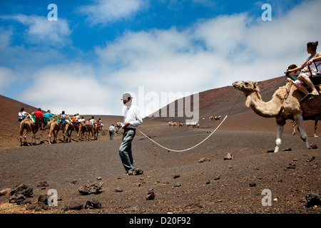 Menschen Kamelreiten in Vulkanlandschaft, Nationalpark Timanfaya, Lanzarote, Kanarische Inseln, Spanien, Europa Stockfoto