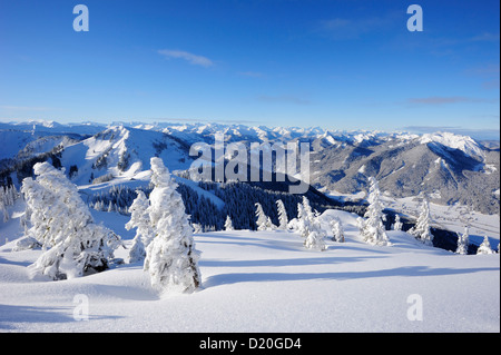 Winterwald mit Setzberg im Hintergrund, Wallberg, Tegernseer Bereich, Bayerische Voralpen, Upper Bavaria, Bavaria, Germany Stockfoto