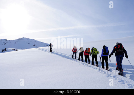 Gruppe von Menschen Backcountry Skifahren, aufsteigend, Pallspitze, Pallspitze, Langer Grund, Kitzbüheler Alpen, Tirol, Österreich Stockfoto