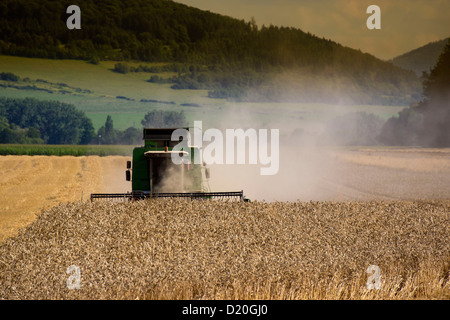 Kombinieren Sie in einem Weizenfeld, Buttlar, Thüringen, Deutschland, Europa Stockfoto