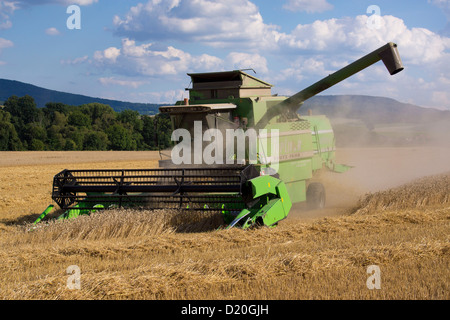 Kombinieren Sie in einem Weizenfeld, Buttlar, Thüringen, Deutschland, Europa Stockfoto