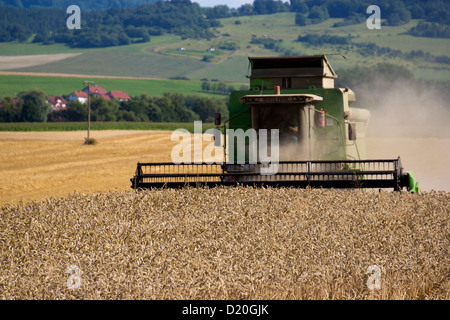 Kombinieren Sie in einem Weizenfeld, Buttlar, Thüringen, Deutschland, Europa Stockfoto