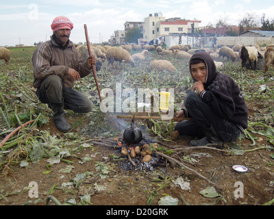 zwei syrische Flüchtlinge betreuen dort Schafe in der Nähe von einem Lager in Zahlé im Südlibanon Stockfoto