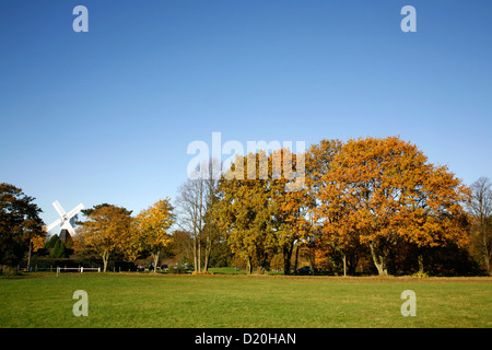 Windmühle auf Wimbledon Common, Wimbledon, London, UK Stockfoto