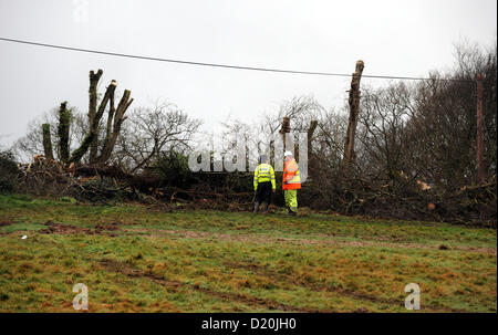 Crowhurst Sussex UK haben 9. Januar 2013 - bekannt als die Combe Haven Verteidiger versuchen, den Bau einer Verbindungsstraße zwischen Hastings und Bexhill in Sussex zu stoppen Demonstranten Campingplätze in den Wäldern darunter alte Eichenbäume von 400 Jahren gebaut. Es bekannt geworden als die zweite Schlacht von Hastings - einige der umliegenden Bäume wurden bereits gefällten Foto von Simon Dack/Alamy Live News Stockfoto