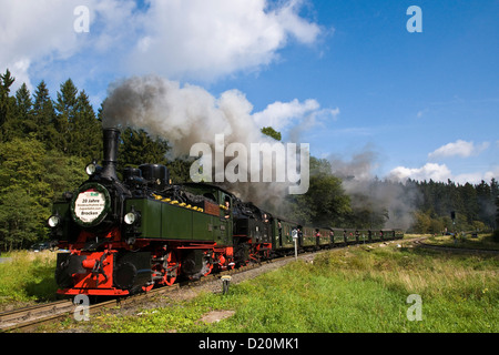 Jubiläums-Zug, Dampfeisenbahn, Brockenbahn, Harz, Sachsen-Anhalt, Deutschland Stockfoto