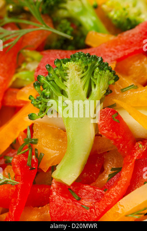 rote, gelbe und orange Paprika, Brokkoli und Fenchel Salat oder Stängel Brokkoli auf Salat Hintergrundfarbe Stockfoto
