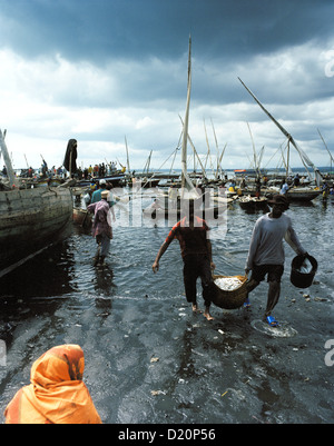 Fischmarkt am alten Hafen Dhow, Fischer Boote zu entladen, Malindi, Stone Town, Sansibar, Tansania, Ostafrika Stockfoto