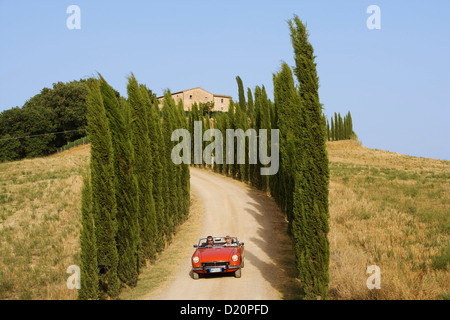 Oldtimer auf einer Landstraße bei Montalcino Region, Toskana, Italien, Europa Stockfoto