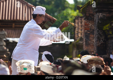 BALI - FEBRUAR 1. Priester Segen Anbeter mit Weihwasser für Galungan Zeremonie am 1. Februar 2012 in Bali, Indonesien. Stockfoto