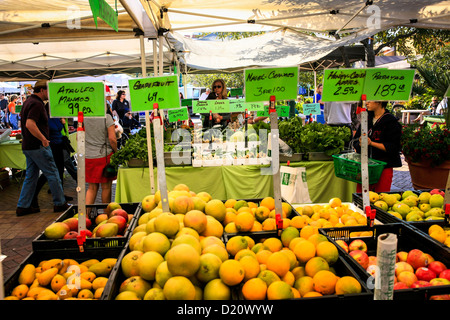 Sarasota Bauern Marktstand Obst Stockfoto