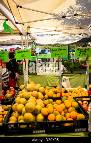 Sarasota Bauern Marktstand Obst Stockfoto