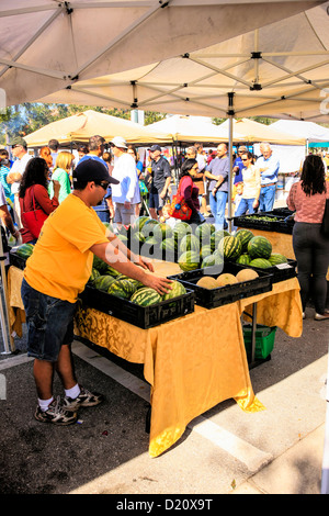 Sarasota wöchentlichen Bauernmarkt Obst stand in der Innenstadt an einem Samstagmorgen Stockfoto