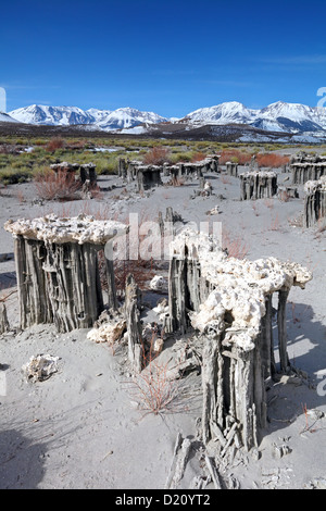 Sand, Tuffstein, Marine Beach, Mono Lake, im Osten der Sierra, CA, USA Stockfoto