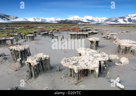 Sand, Tuffstein, Marine Beach, Mono Lake, im Osten der Sierra, CA, USA Stockfoto