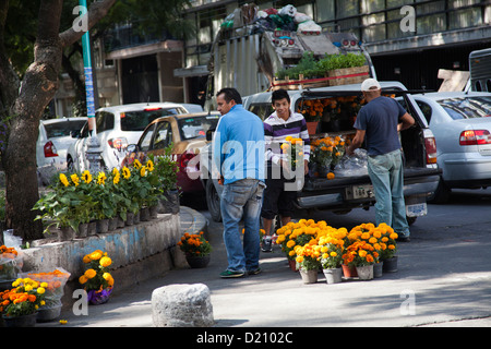 Blume-Verkäufer auslagern Pflanzen am Parque Mexiko im Condesa - Mexiko-Stadt DF Handel Stockfoto