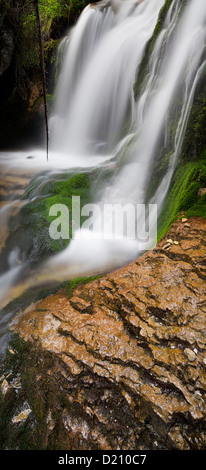 Wasserfall im Tal Vallesinella, Brenta-Adamello-Naturschutzgebiet, Madonna di Campiglio, Trentino, Italien Stockfoto