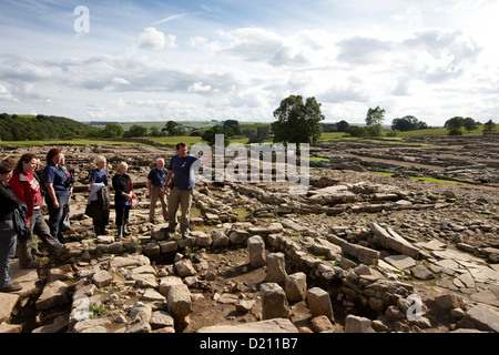 Andrew Birley Leiter der archäologischen Ausgrabung Vindolanda mit Freiwilligen, der Roman Vindolanda Fort, World Heritage Site, Stockfoto