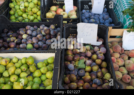 Obst stall am europäischen Markt, Loulé, Algarve, Portugal Stockfoto